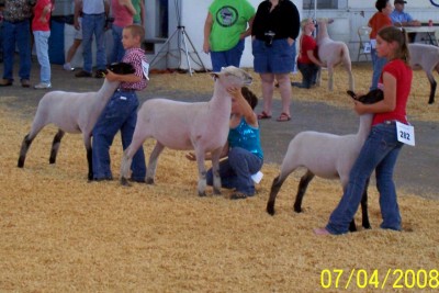 Age 10-11 Showmanship National Show